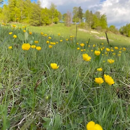 Monti アパート *