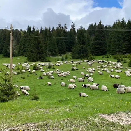 アパート Monti ヴラシチ