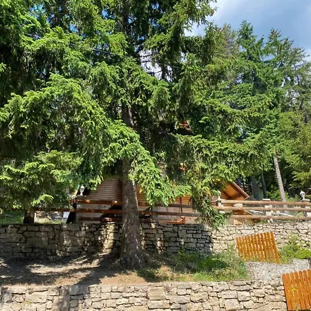 Monti Wellness &