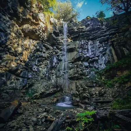 Monti アパート *