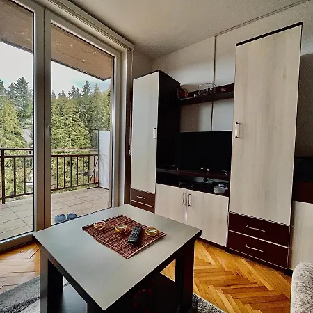 Monti Wellness & Vlašić