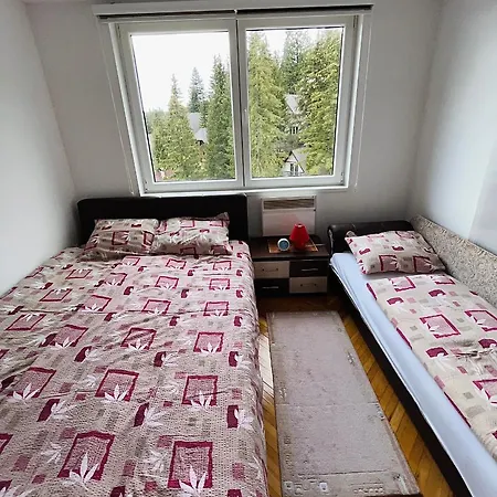 Apartment Monti Vlasic